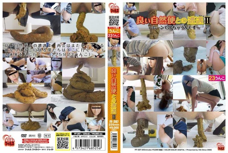 DLFF-207 Girl defecates thick and long shit in public toilet. [FullHD] (2022)