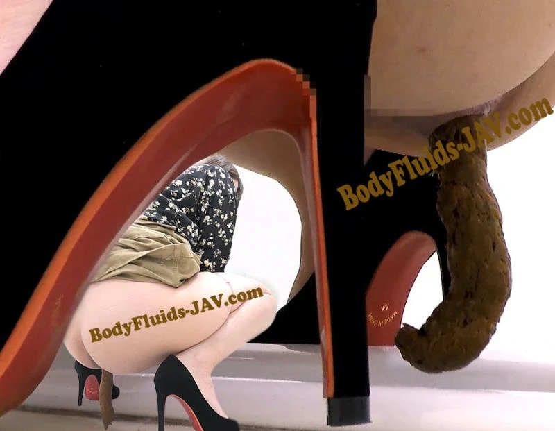 BFFF-304 非洗面式トイレ Toilet Shitting Closeup [FullHD] (2022)