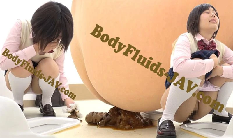BFSL-152 Defecates Past the Toilet トイレ過去の排便 [FullHD] (2022)