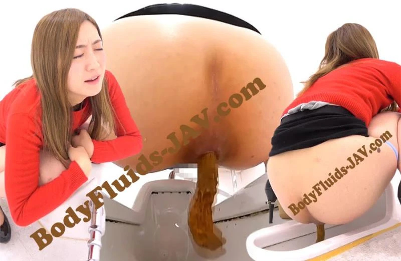 BFSR-333 トイレの糞の5コーナーからの眺め View From Corners of Toilet Shit [FullHD] (2022)