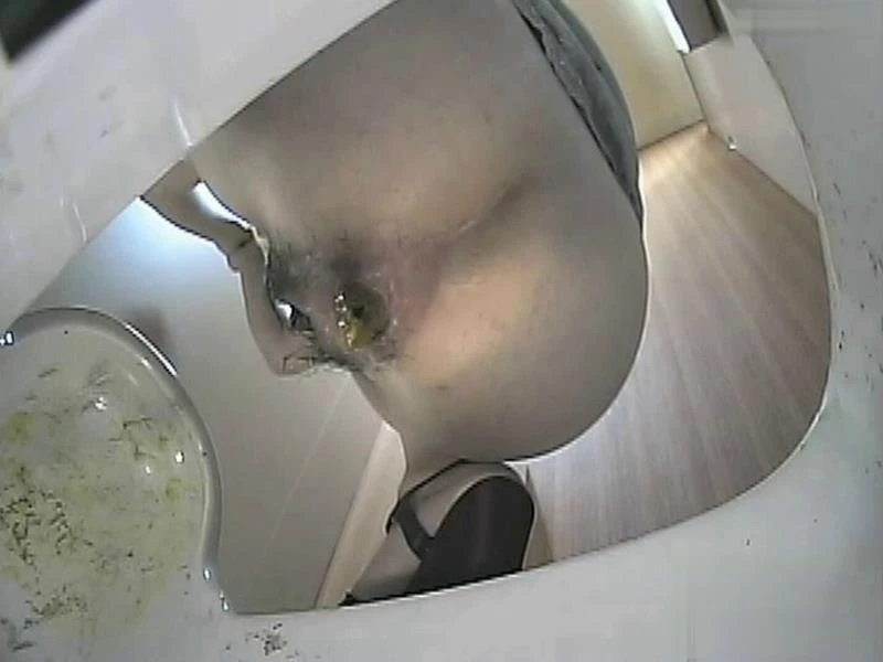 BFJP-93 Japanese toilet voyeur. Bottom view excretion Uncensored [SD] (2024)