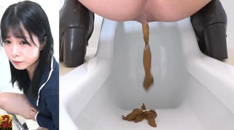 BFSR-621 トイレでオナラと長いウンコをする Farts and Shit in the Toilet [FullHD] (2025)