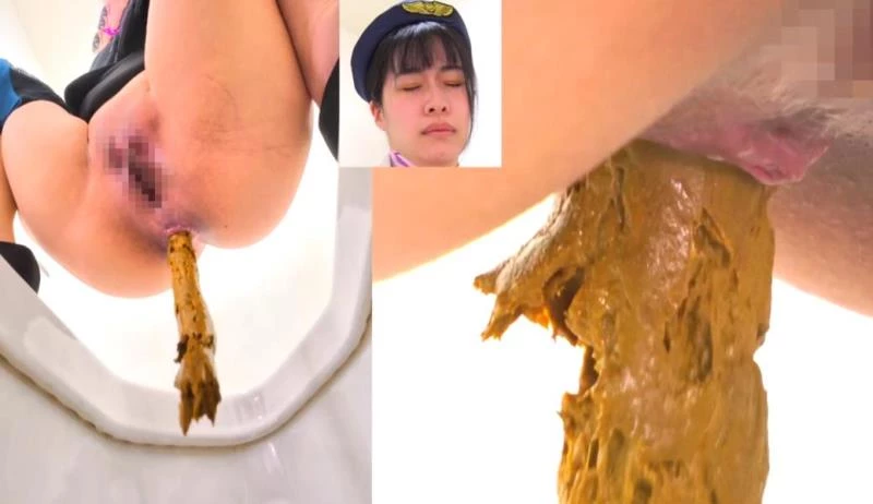 BFEE-301 Long Shit on Western and Japanese Style Toilets [FullHD] (2025)