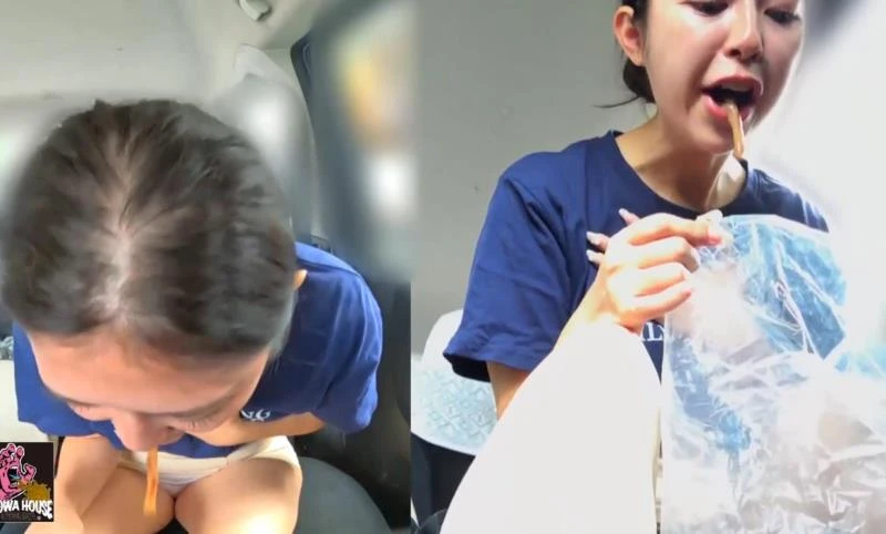 BFJV-176 Don’t Vomit in My Car 私の車の中で嘔吐しないでください [FullHD] (2025)