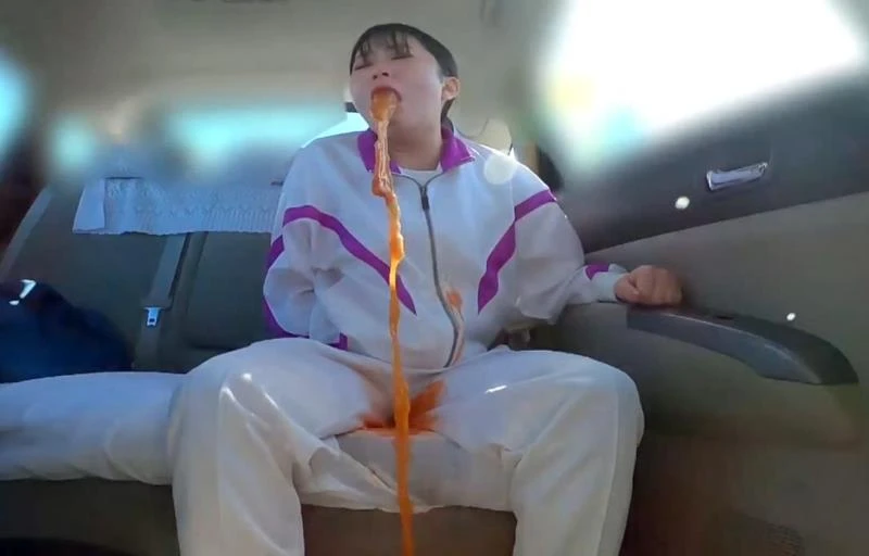 BFJV-179 盗撮、日本のトイレの嘔吐物 Voyeur, Japanese Toilet Vomit [FullHD] (2025)