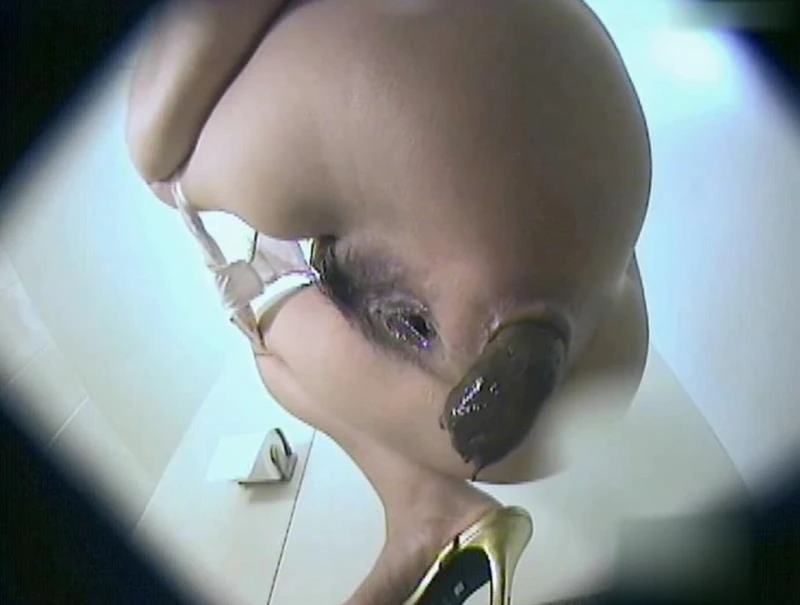 BFJP-194 Peeing and Shitting in Toilet トイレでおしっことうんちをする [SD] (2025)