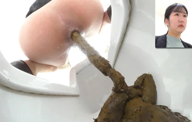 BFEE-312 Shit on Western and Japanese Style Toilets [FullHD] (2026)