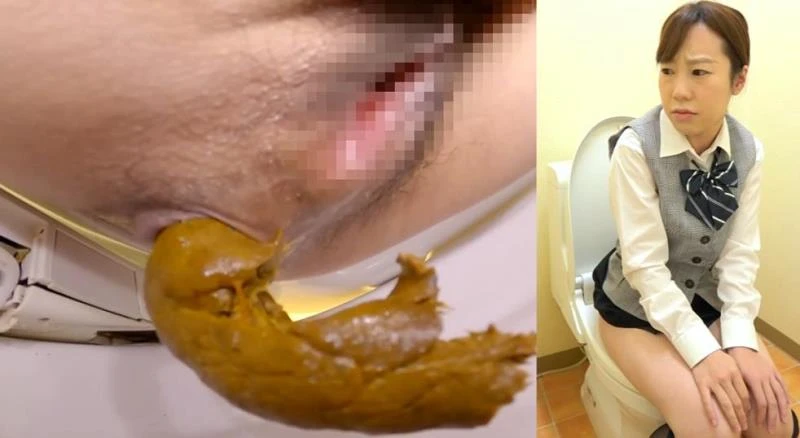 BFSL-317 Defecating in the Toilet トイレで排便する [FullHD] (2026)